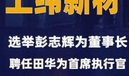 执行官最新爆料新闻视频,执行官最新爆料视频深度解析